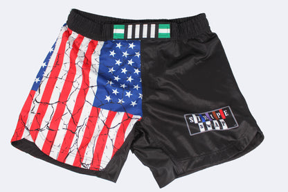 American Flag Fight Shorts